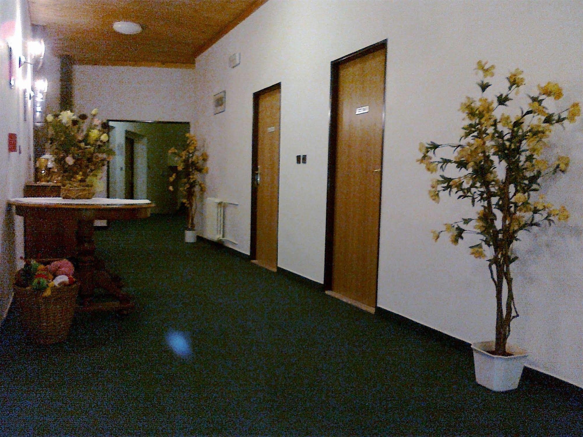 Pension Mona Harrachov Esterno foto